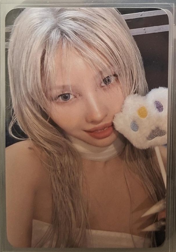 娟迷八貓爪特典卡