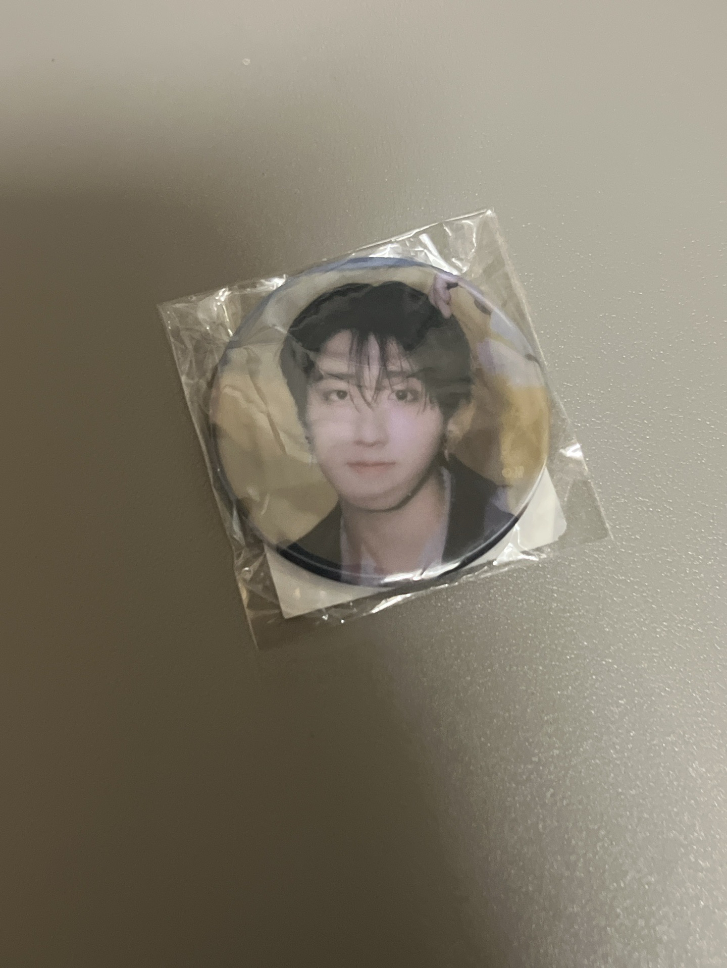 徽章城（未拆）