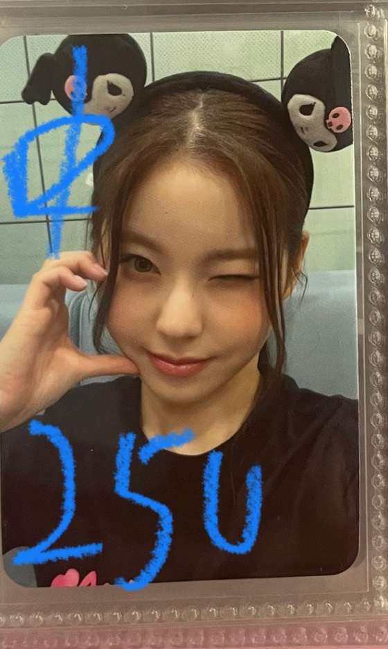 仲夏夜 sr（中背）