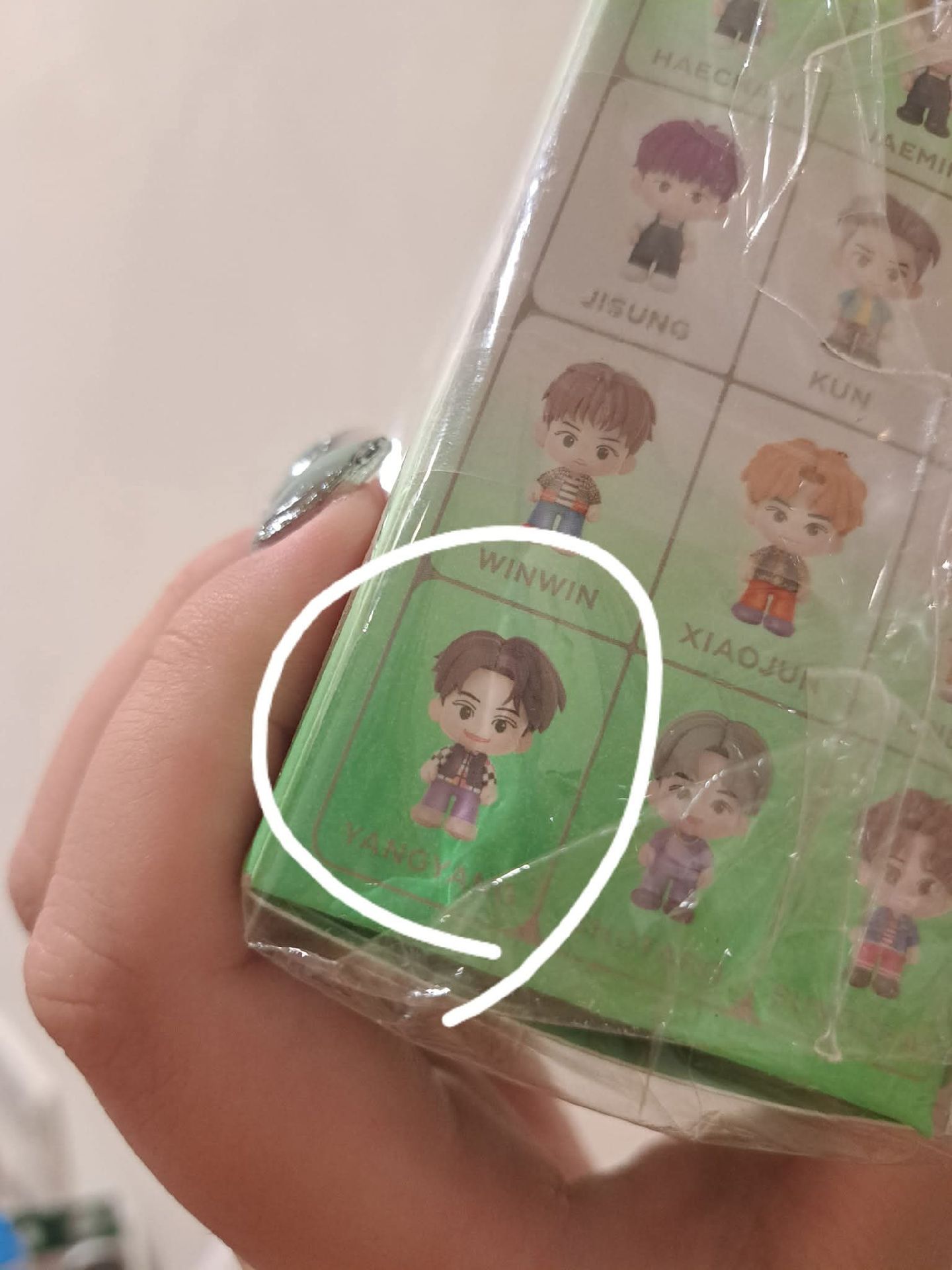 NCT CCOMAZ  模型 盲盒 揚揚款