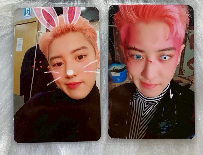 NØ°61（2張不拆）