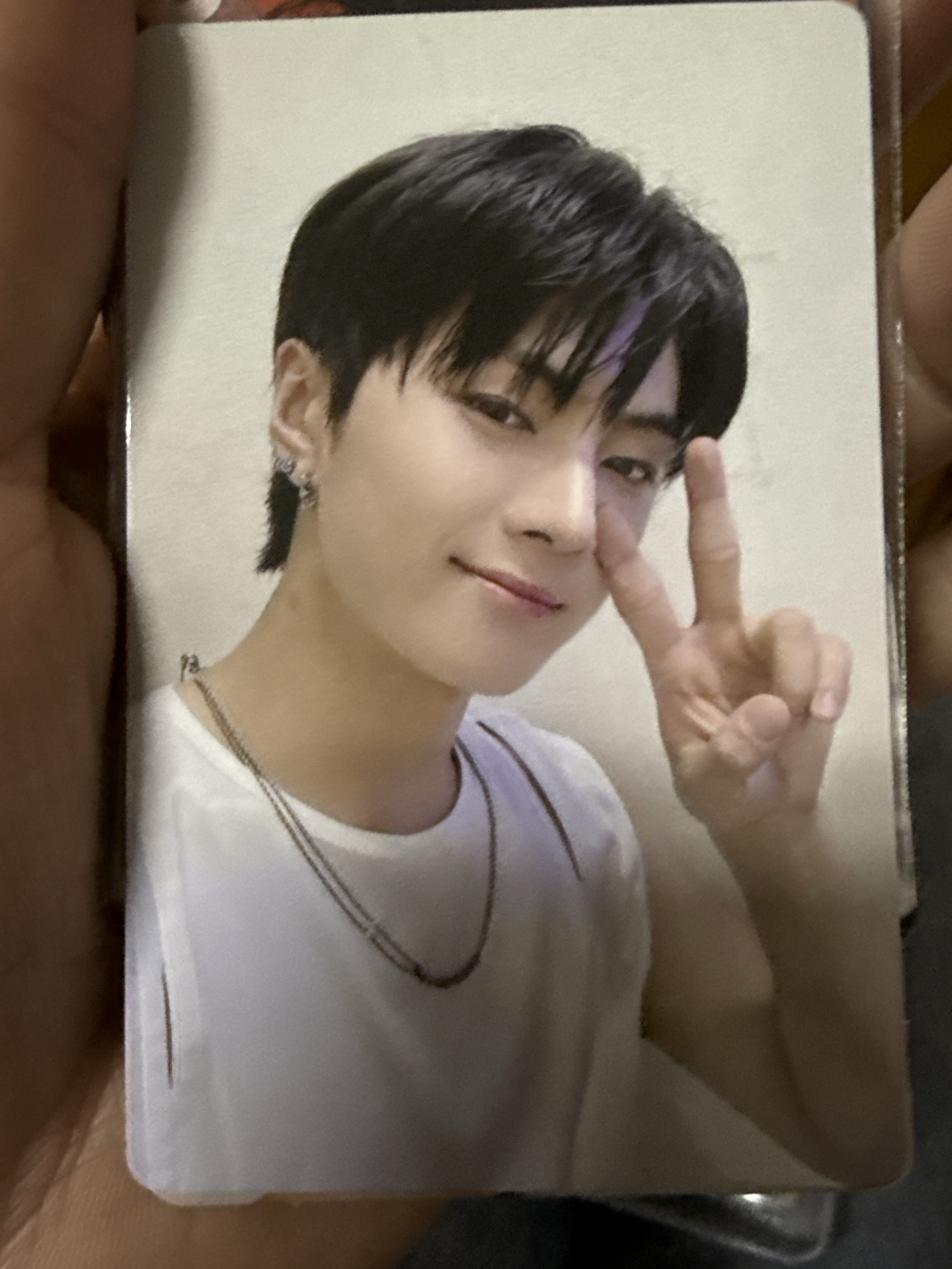 enhypen 一直娛朴綜星特典卡