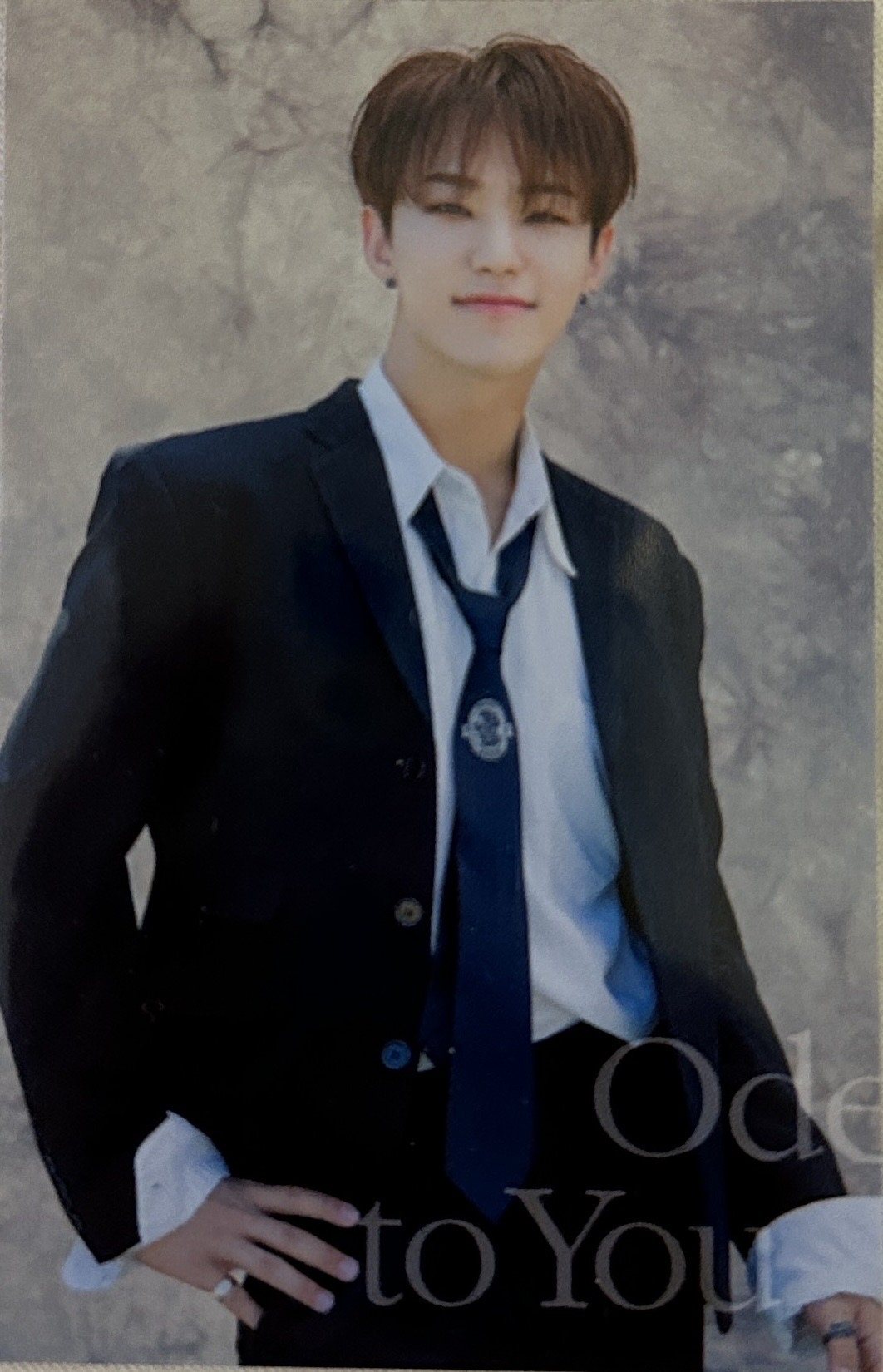 權順榮HOSHI 2019 ODE TO YOU演唱會卡包小卡