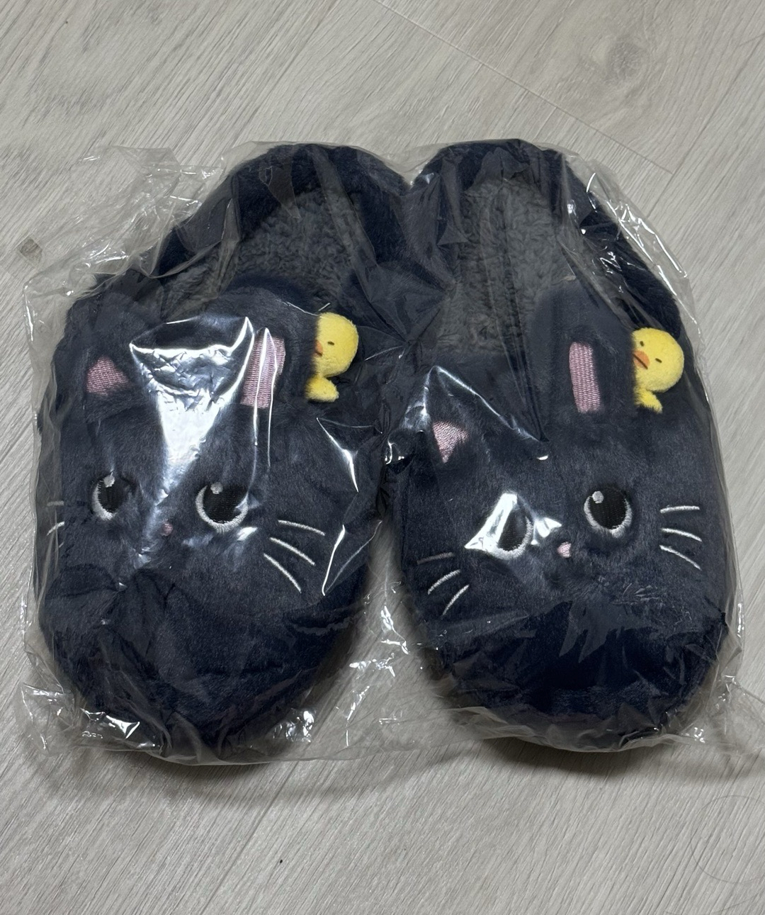 RIIZE 兔貓鴨 元彬 拖鞋（無卡）