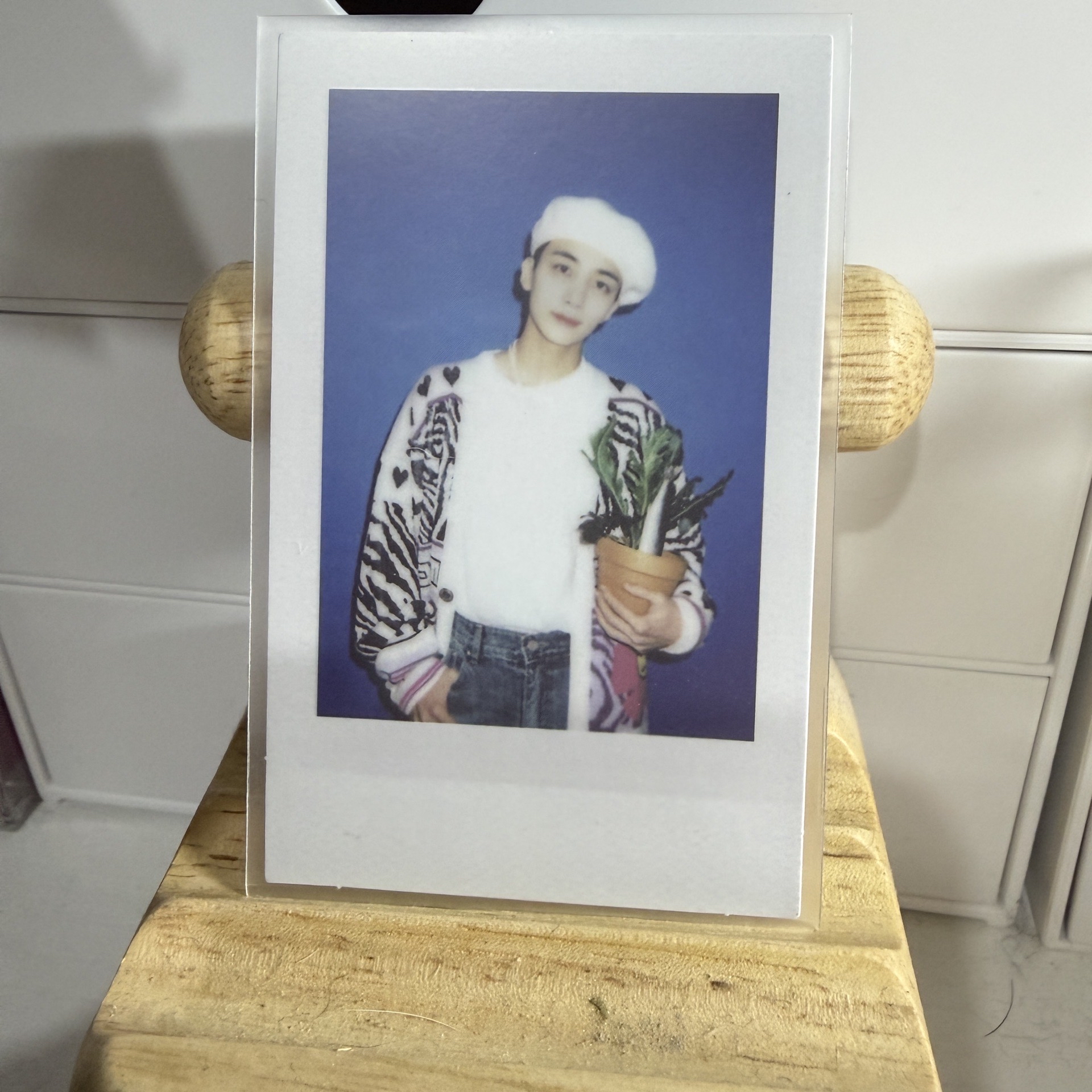 the name 拍立得 白ver. 漢