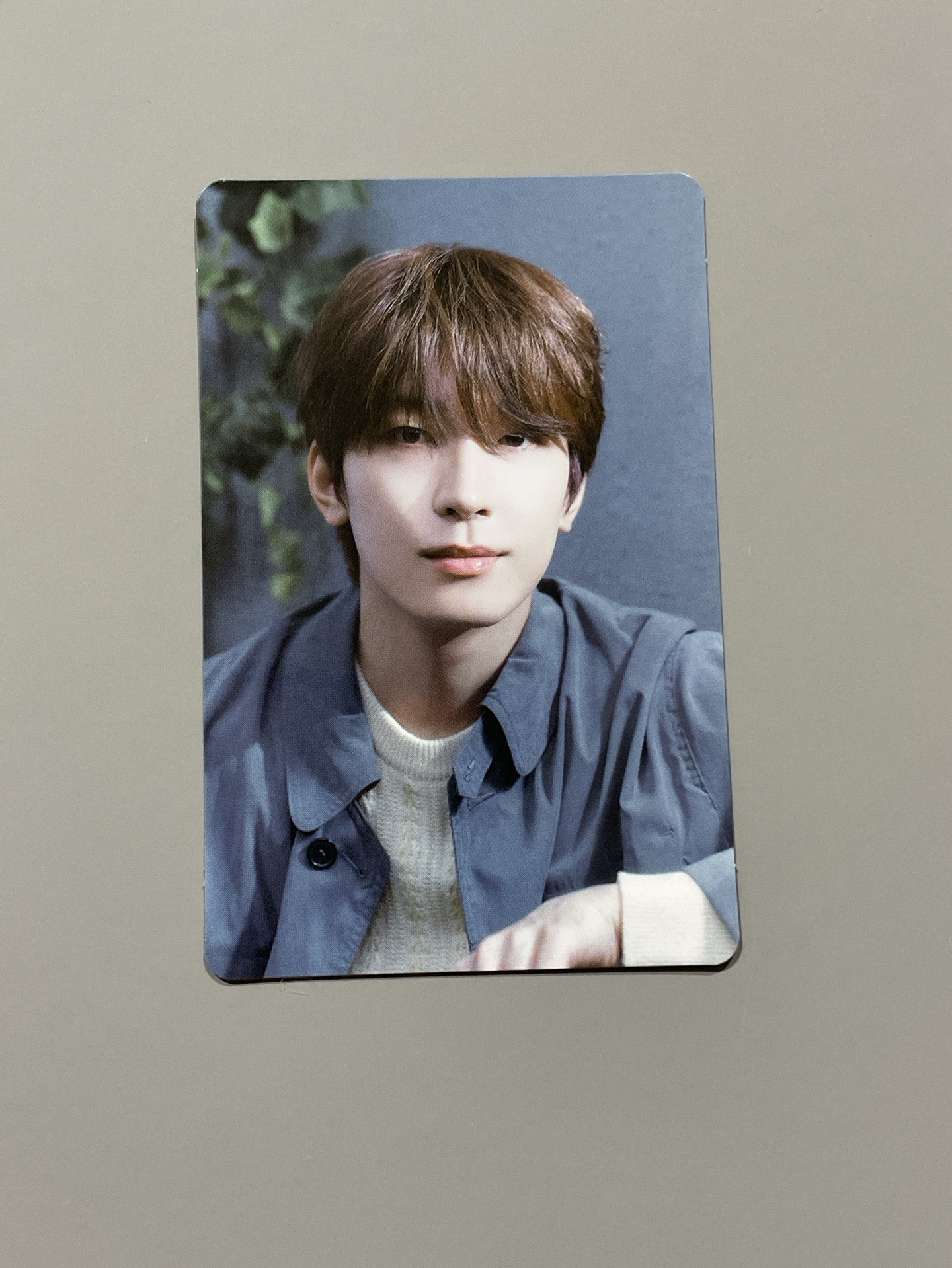 日專消費期限專卡 圓