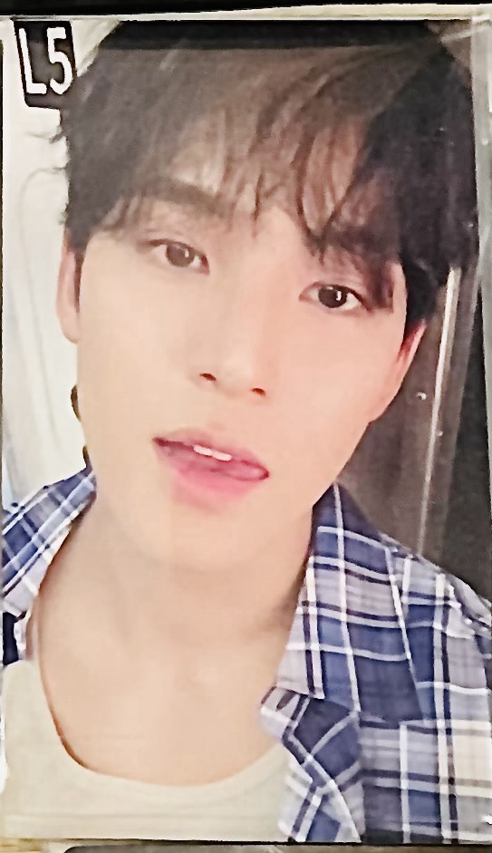 金珉奎mini12藍格子奎環球福岡特典卡