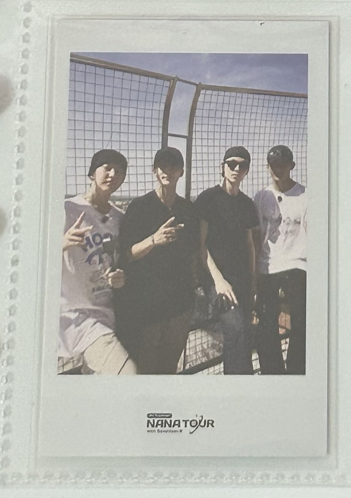 🪽🐯🐻‍❄️🐶