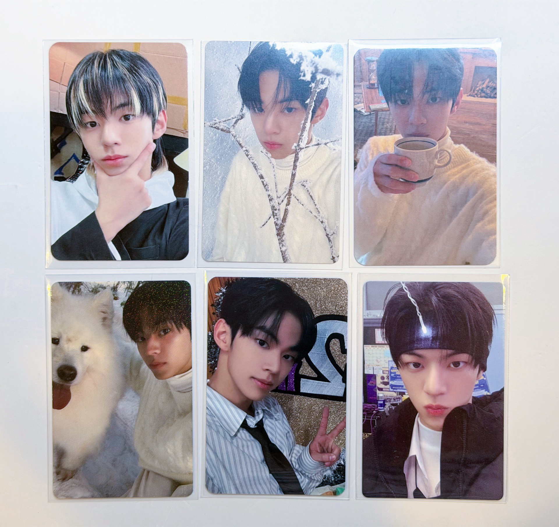 TWS 道勳小盤 6張