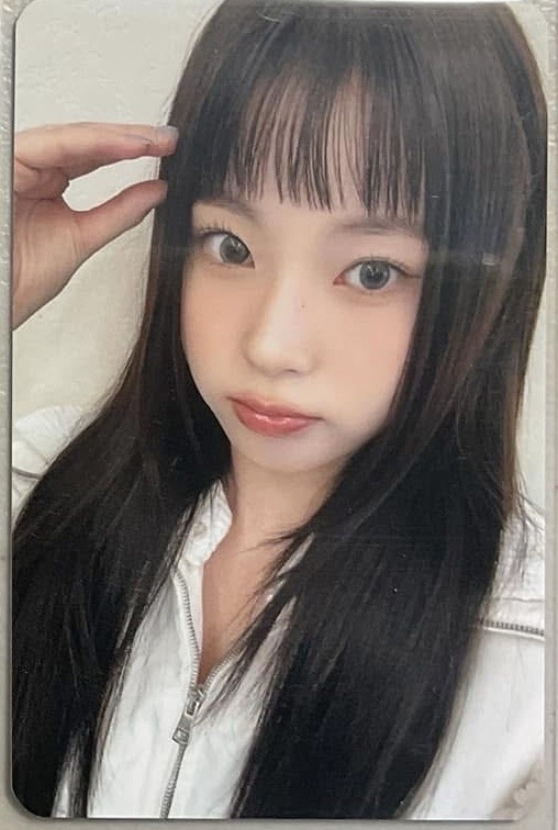 鬆餅耳圭  狗耳圭（現貨）