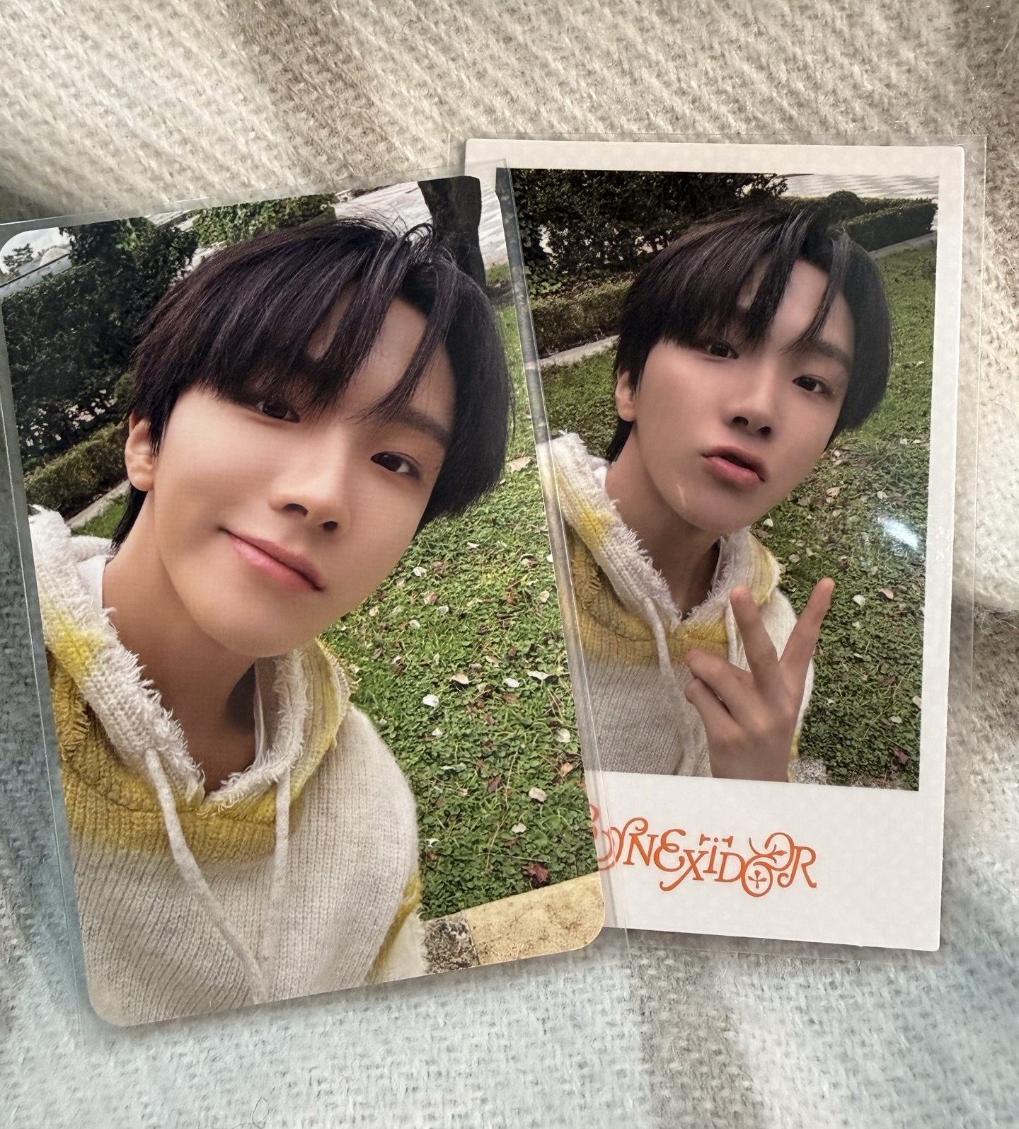 雲鶴-馬德里回憶錄