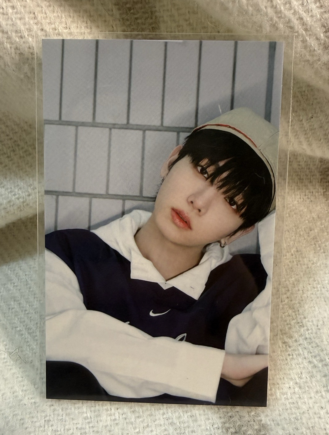 淘兒特典-明明🐶貼紙