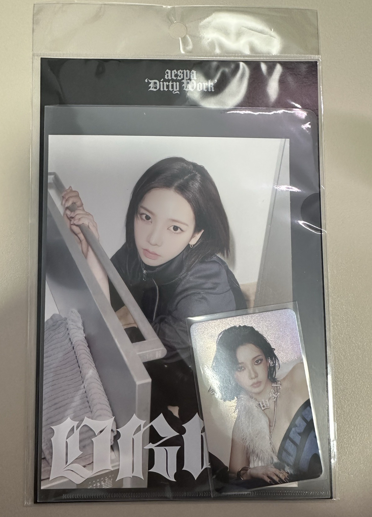 6.DW Karina明信片閃卡組