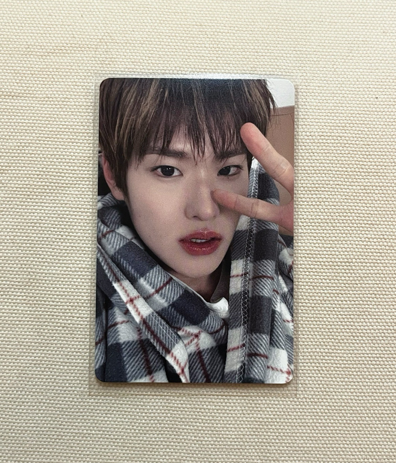 昭熙慕想都是布栗子