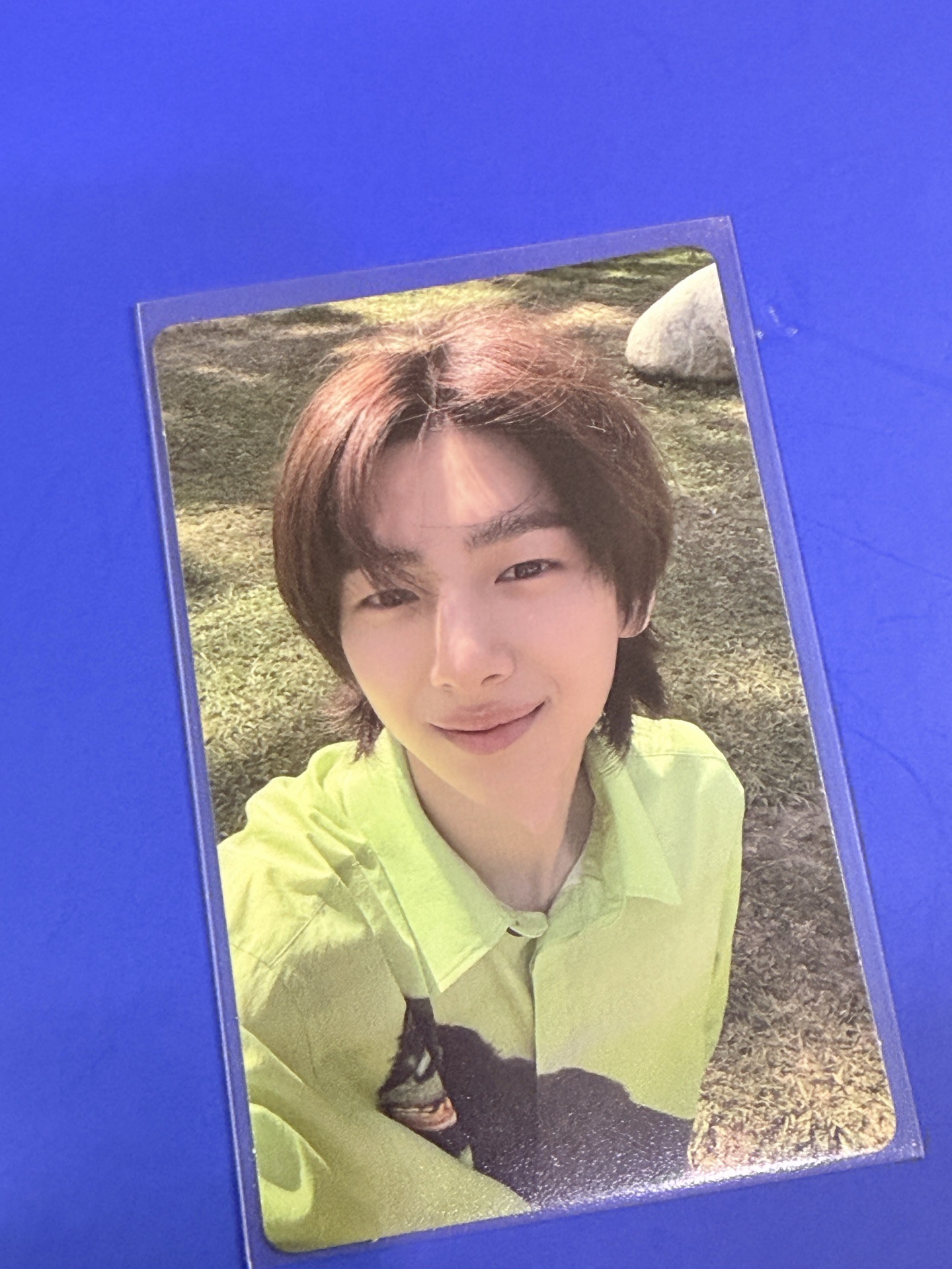 正版💌 現貨 Cortis  金主訓 JUHOON  團照  專卡  特典卡