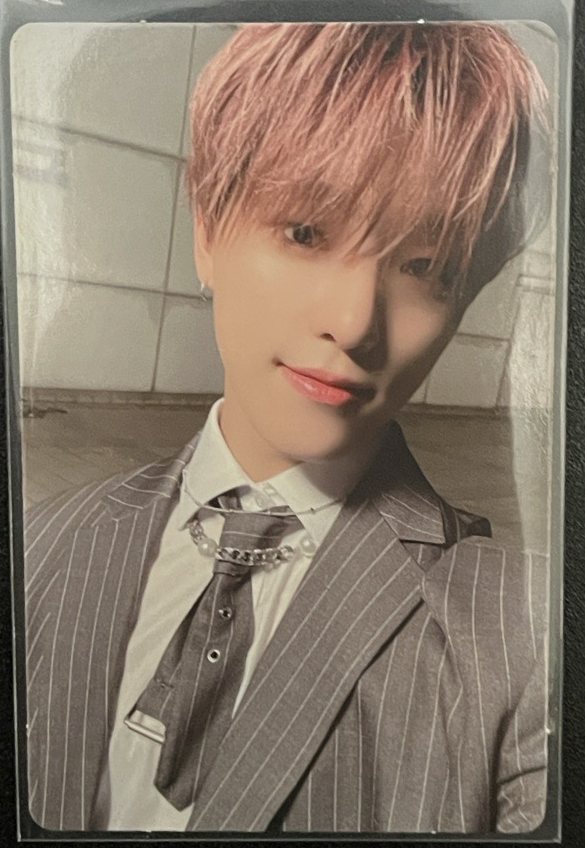 SEVENTEEN｜粉髮李燦DINO