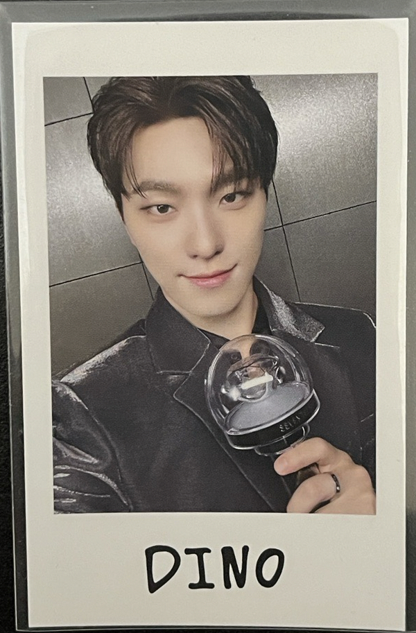 SEVENTEEN｜日巡拍立得李燦DINO