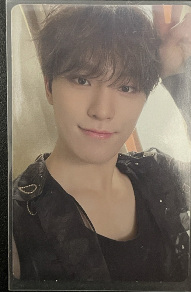 SEVENTEEN｜李燦DINO KIT卡