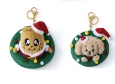 💎 聖誕綠圈吊飾 奎碩不拆