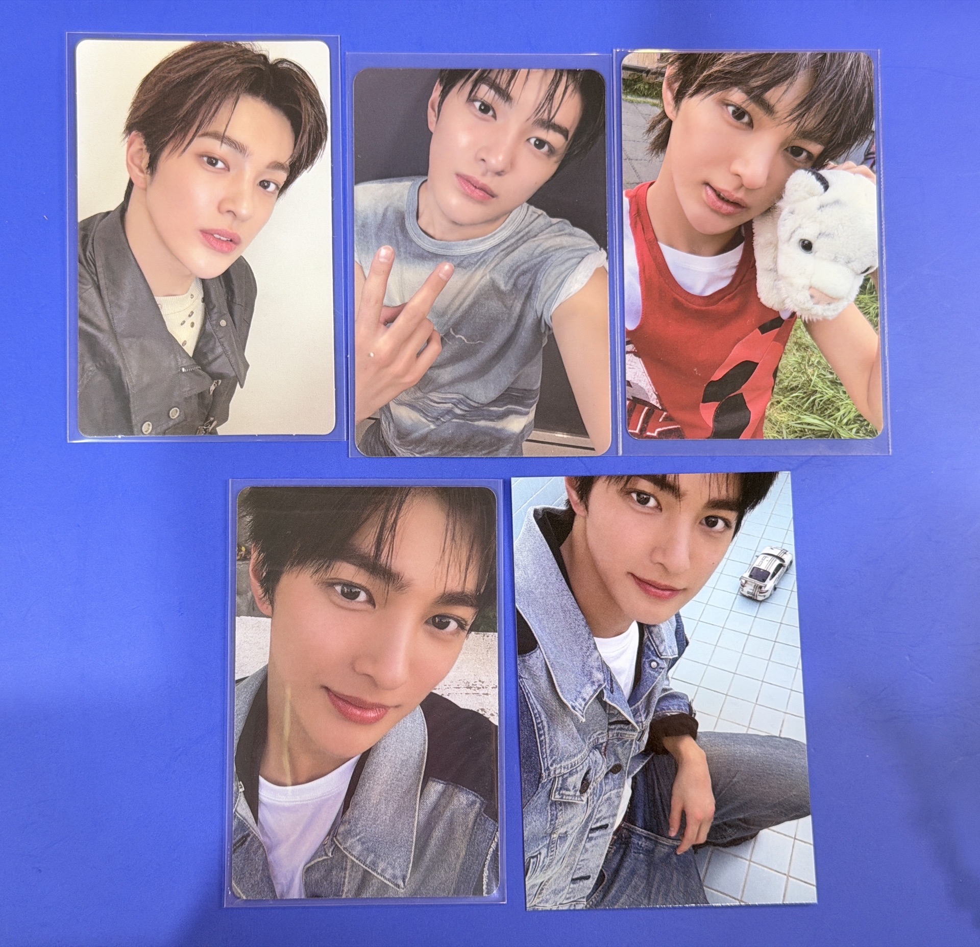 Cortis  安乾鎬 KEONHO 專卡  特典卡