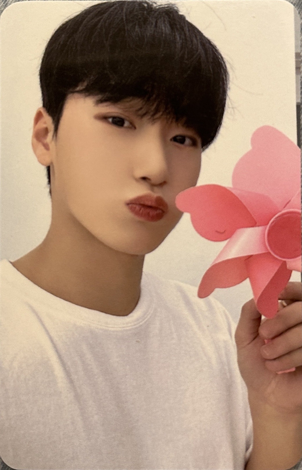 崔傘OUTLAW Everline簽售特典