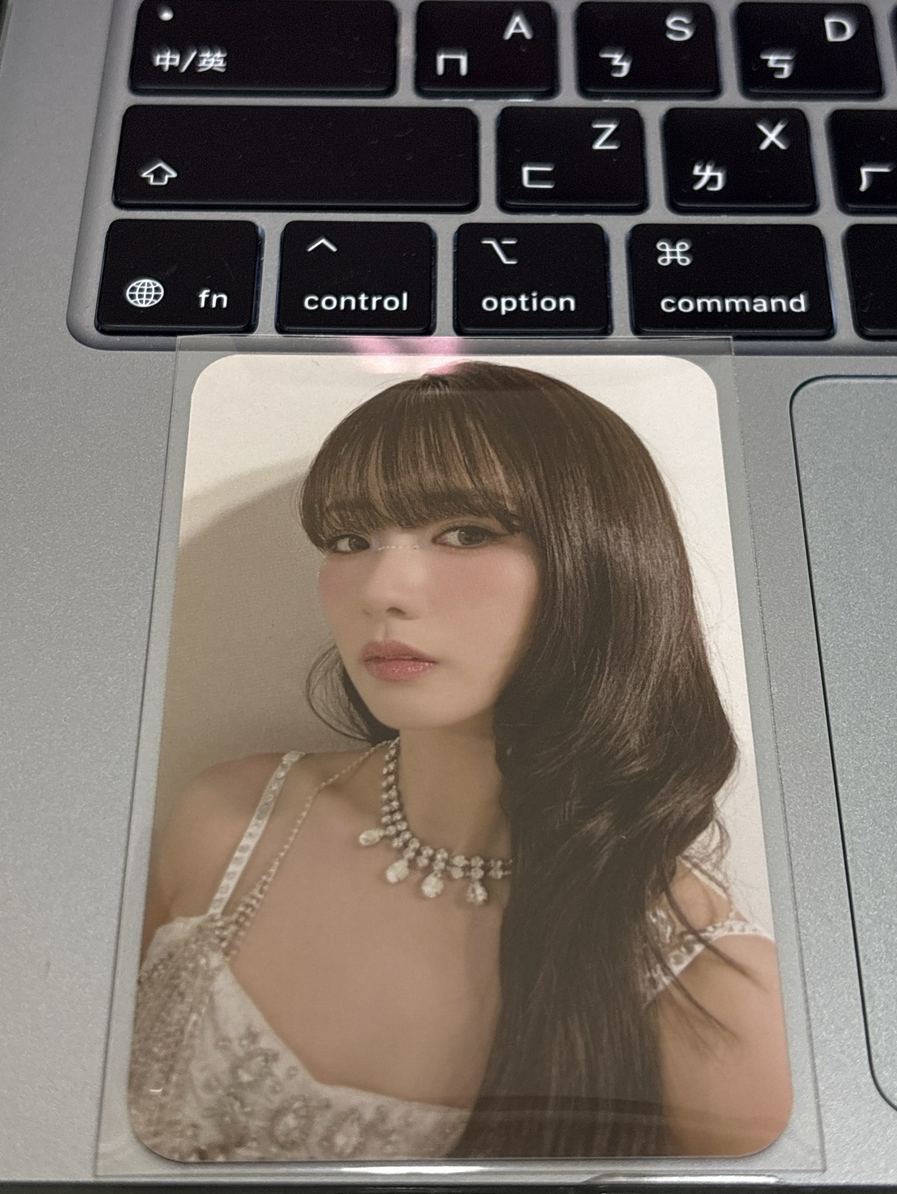 Apink普美/2025演唱會台北場入場小卡