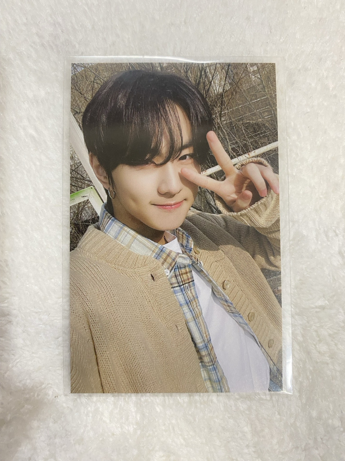 禎元 FATE+ 外套卡