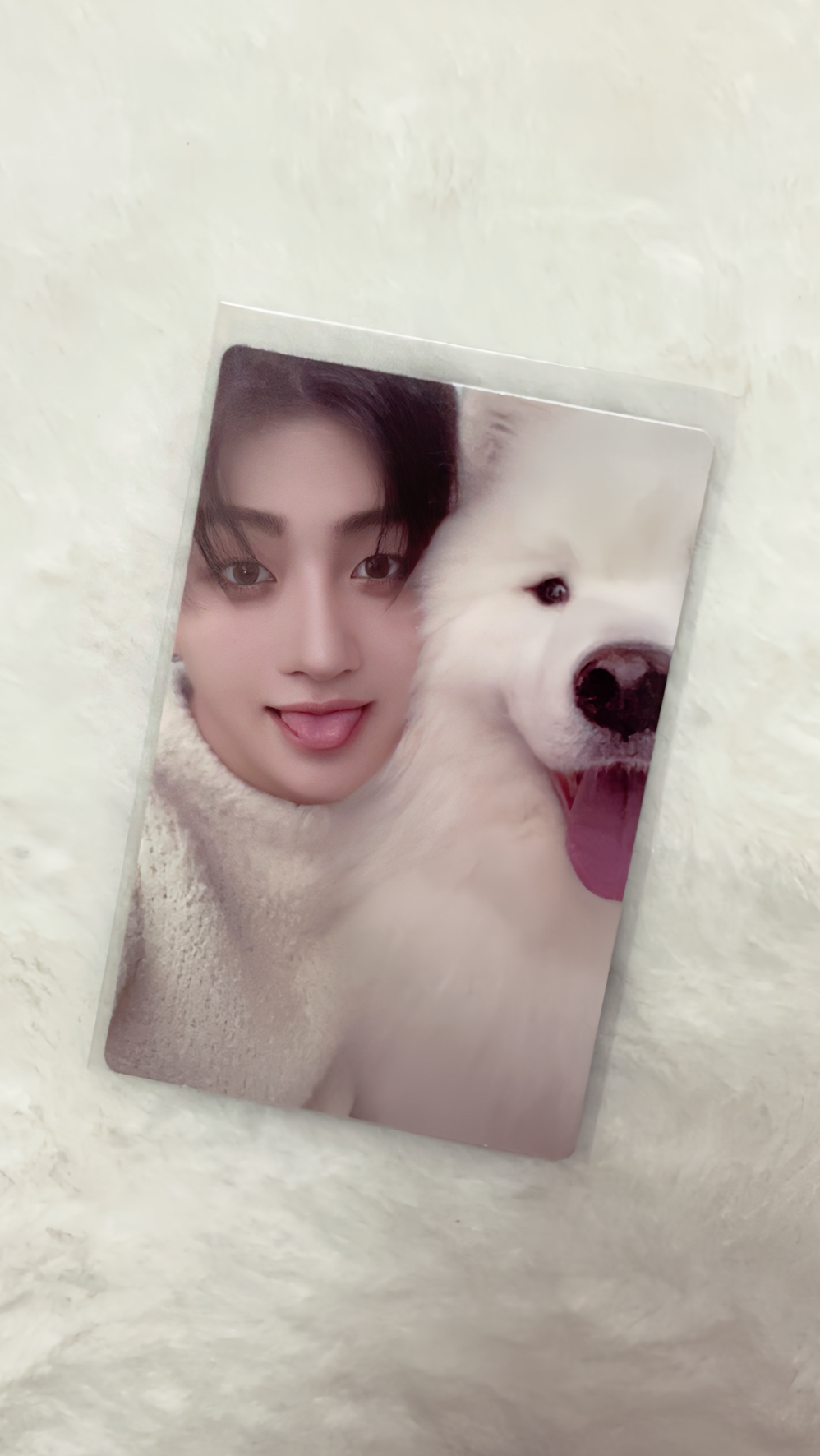 志薫單封專卡🪼