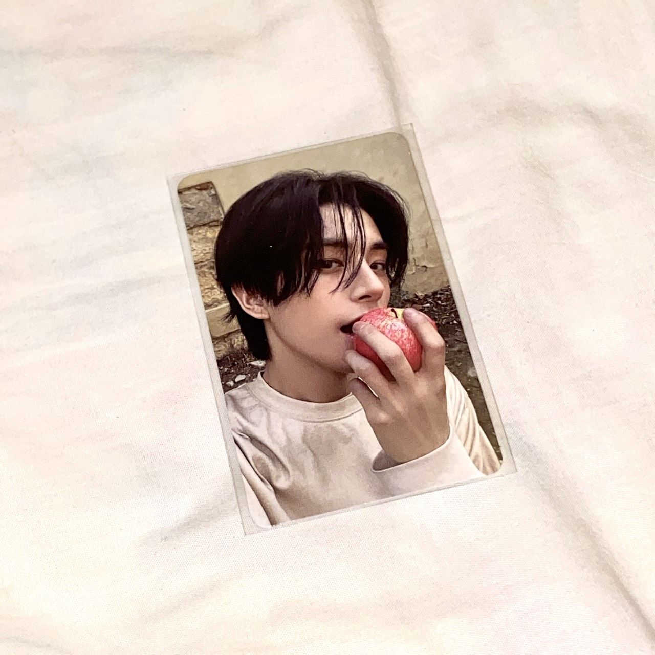 ENHYPEN JAKE 迷六 單封 隨機卡 蘋果倫