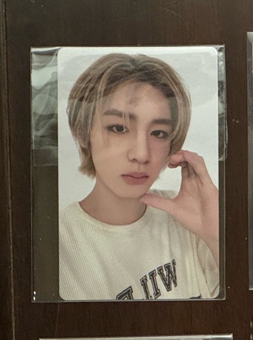wvs單封