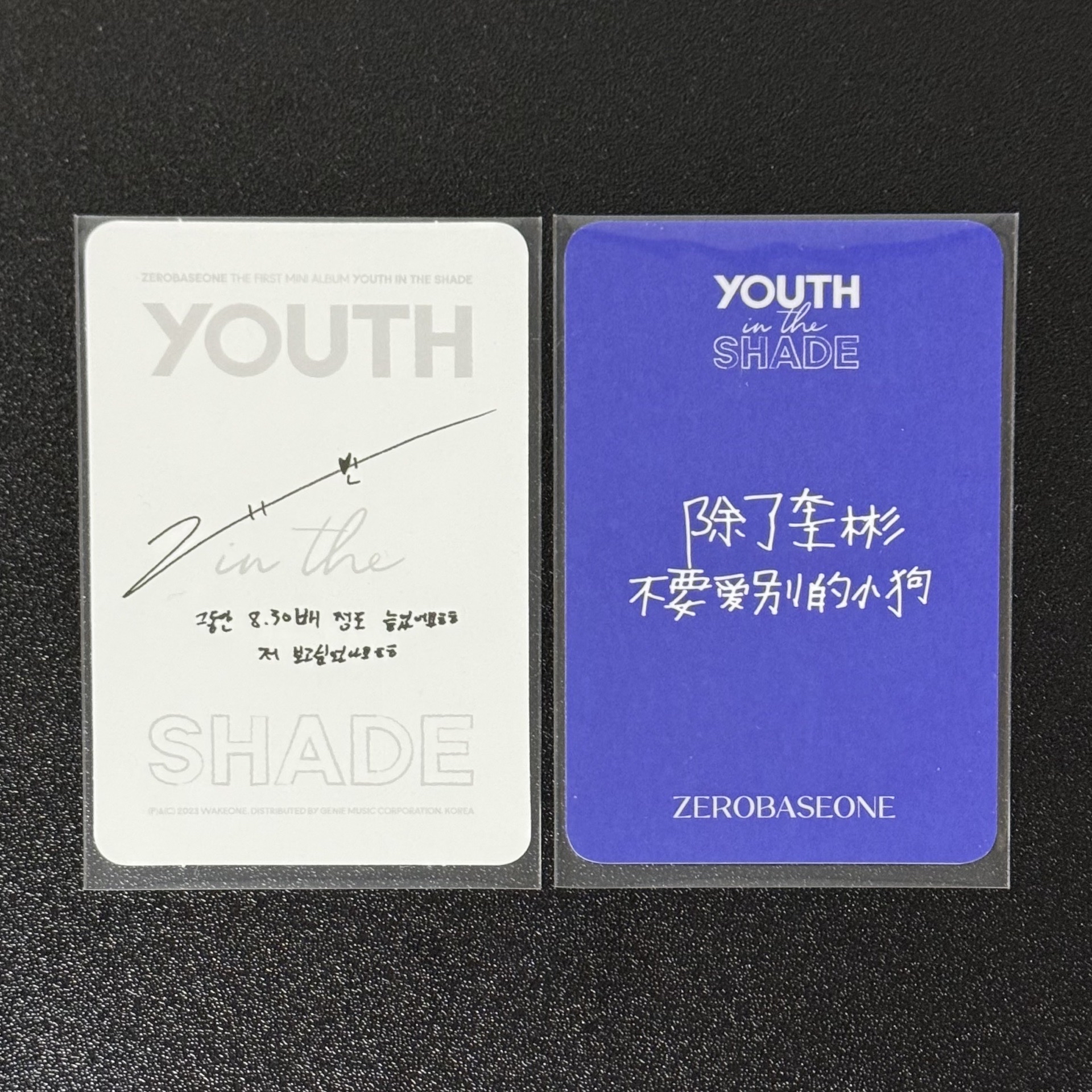 Youth In The Shade - GYUVIN