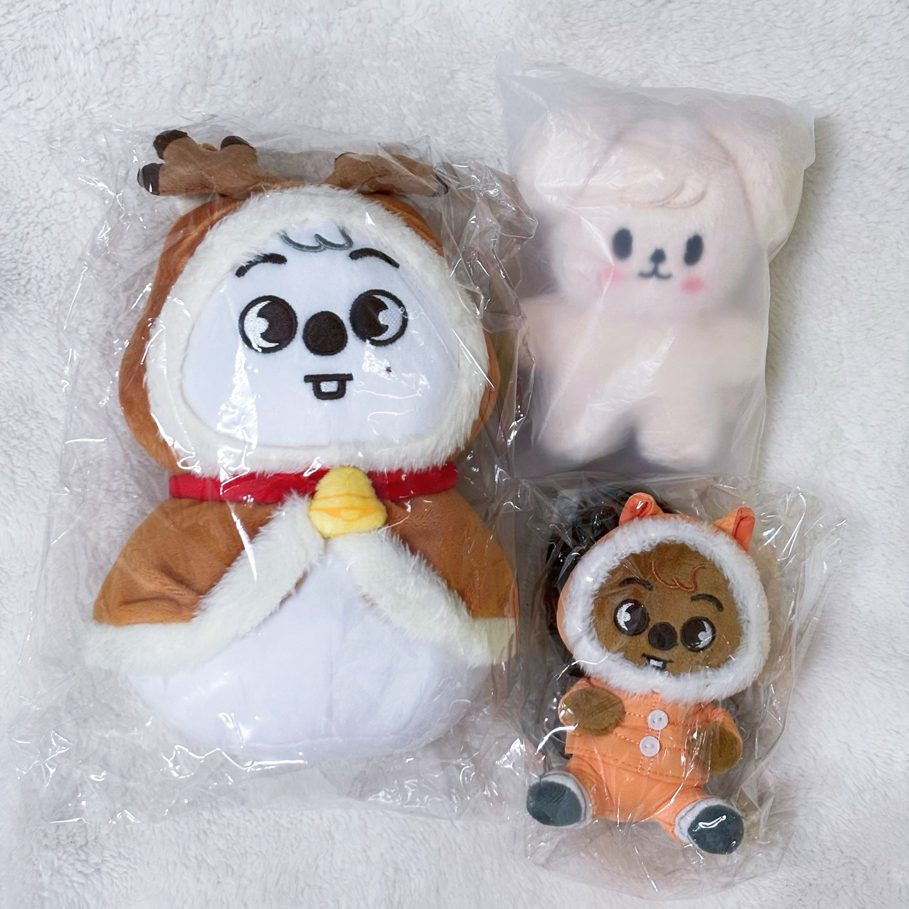 SKZOO 闊卡、帕皮