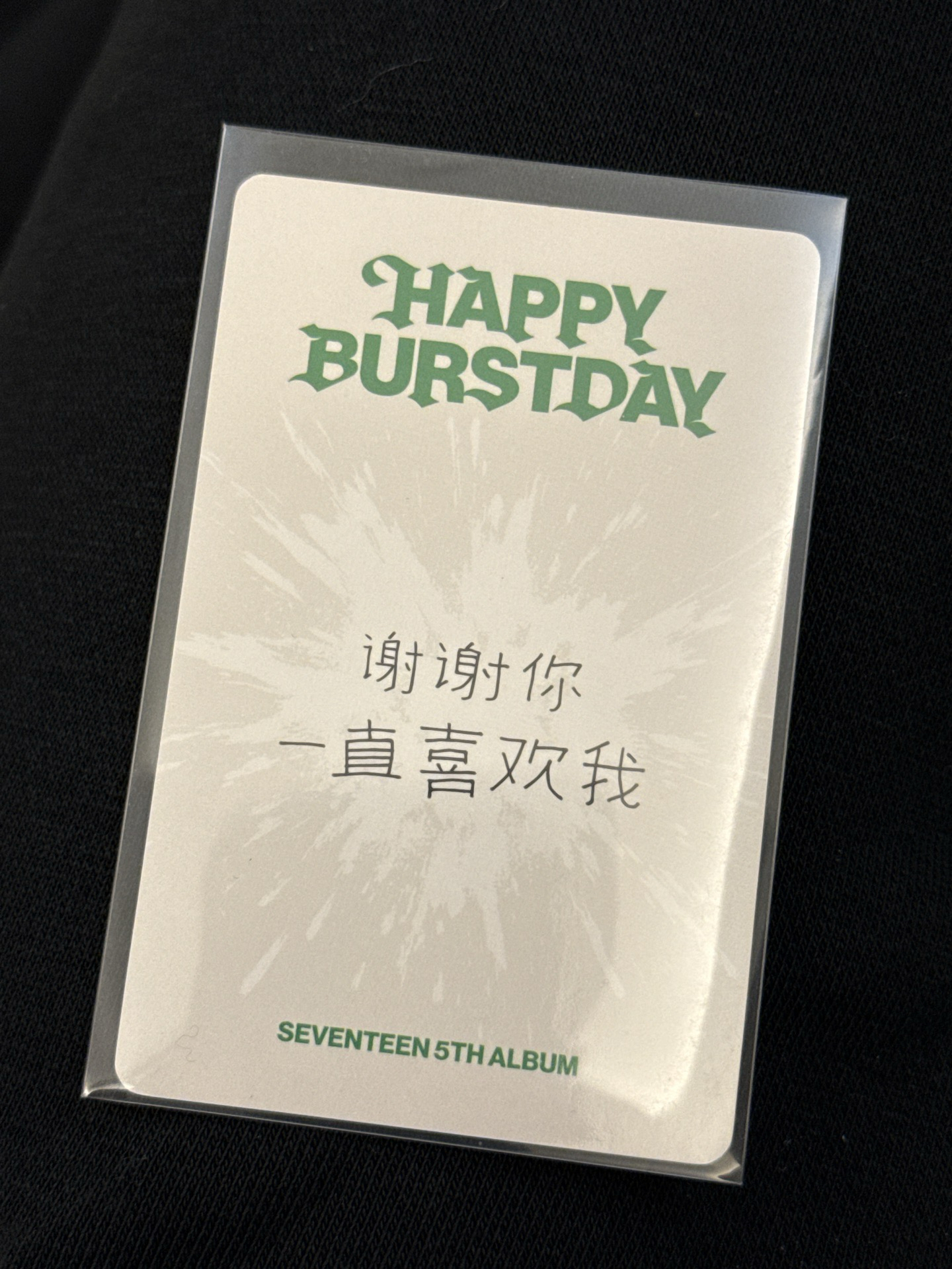 秀 正五yzy 中文卡背