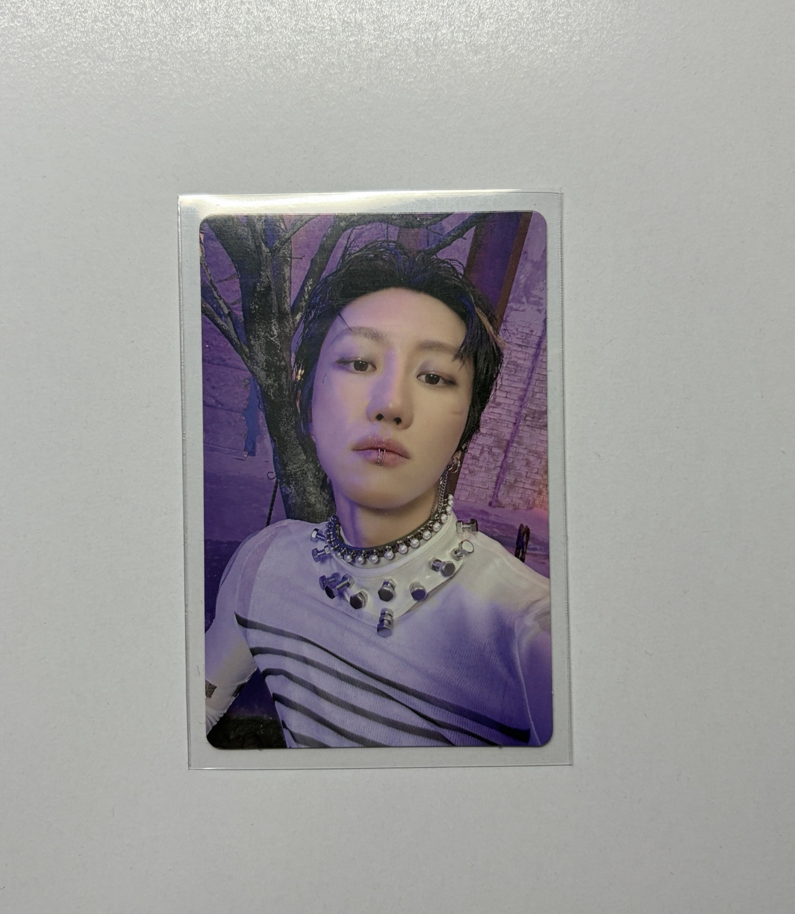 正規五  ：你瞅啥