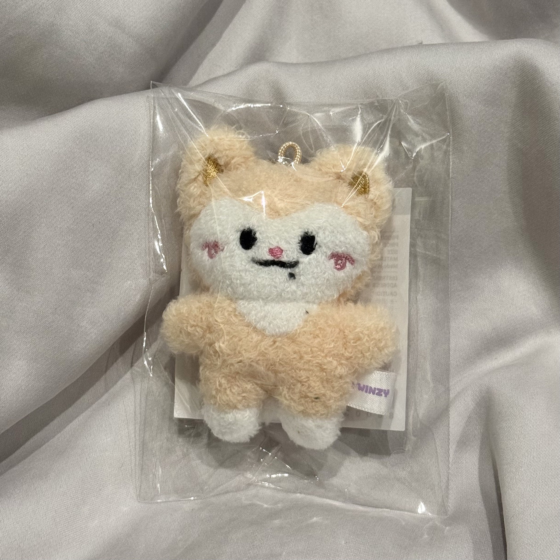 2025 FM 吊娃 TWINZY 迷你娃娃 申留真 李彩領