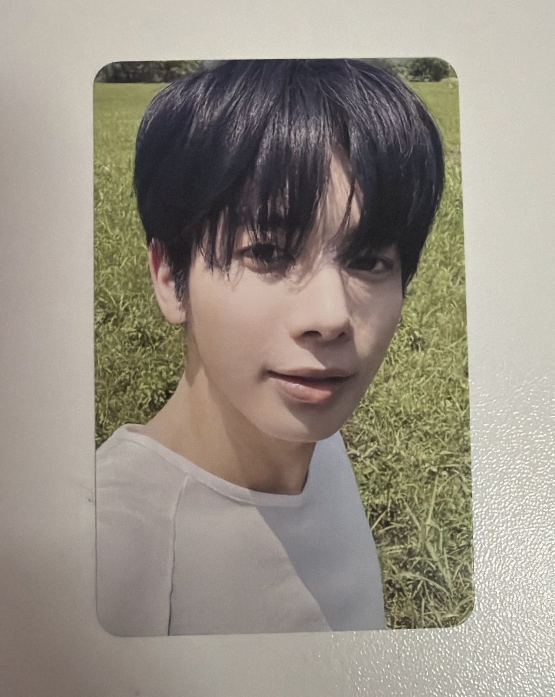 正四電子專A版 太顯小卡