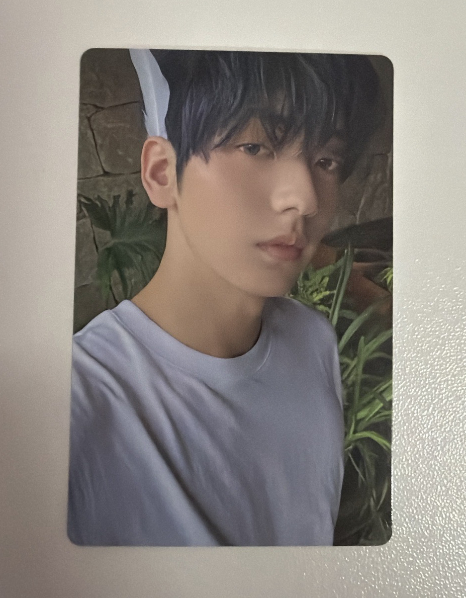 迷七ANGEL版 小卡