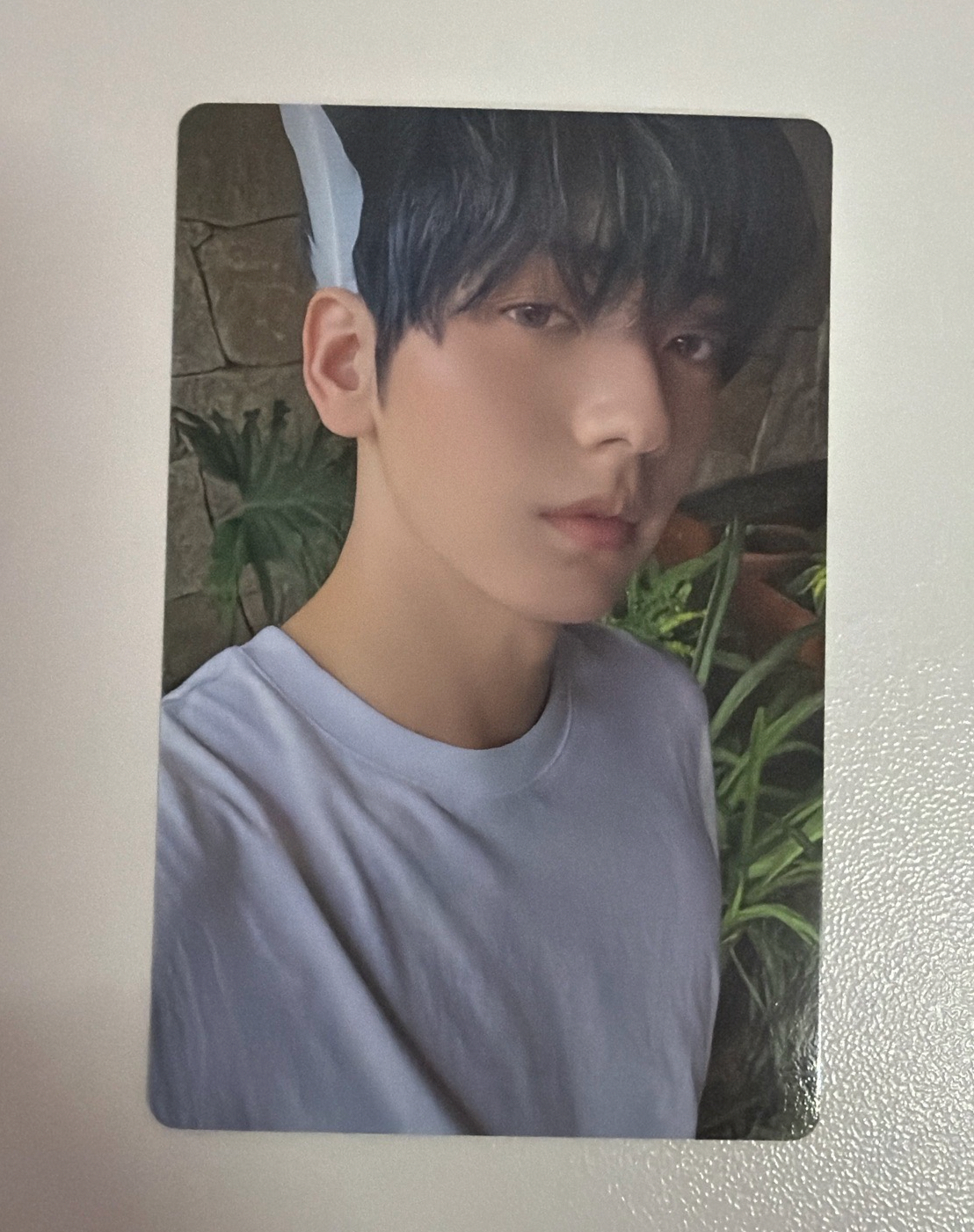 迷七ANGEL 版 秀彬小卡