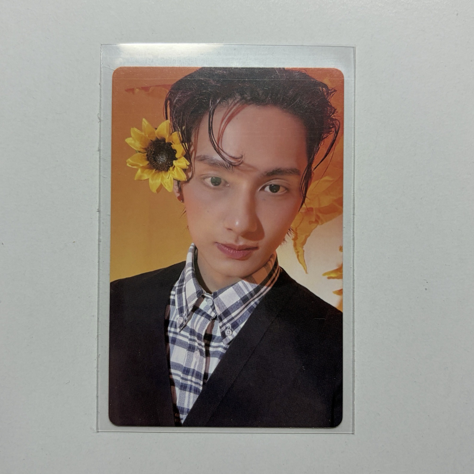 精選專 貌美如花