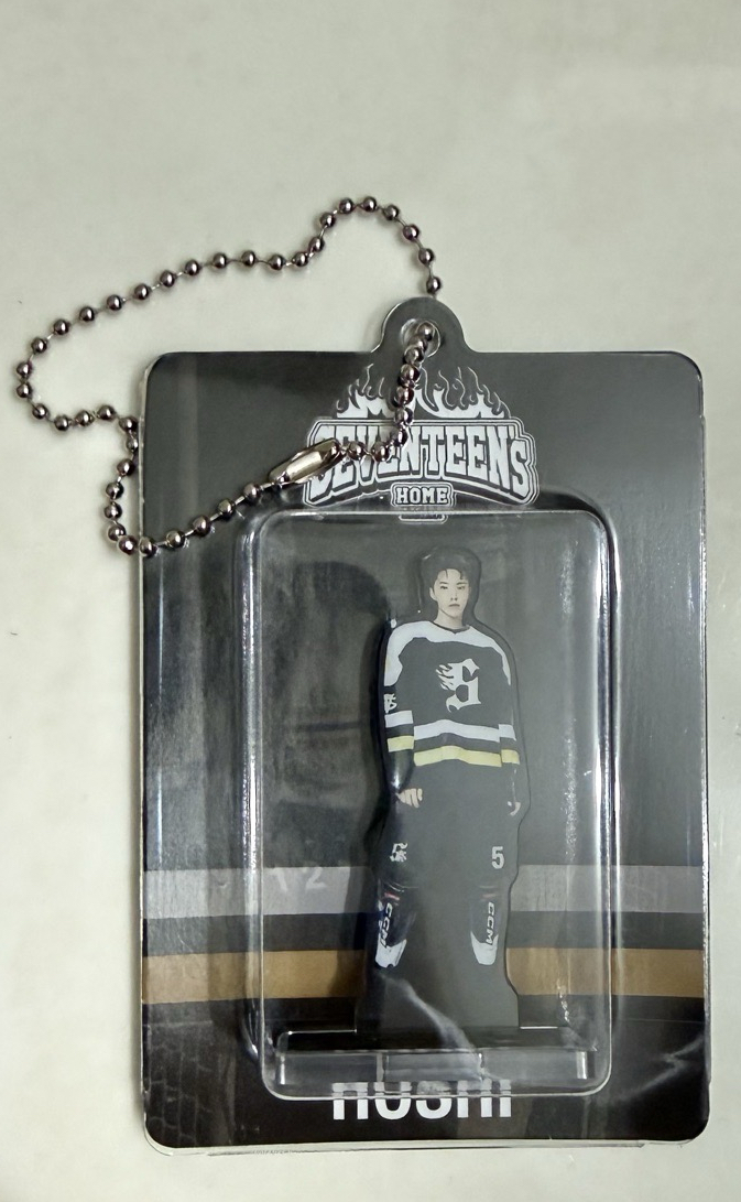 ❤️SVT HOME榮人行吊飾