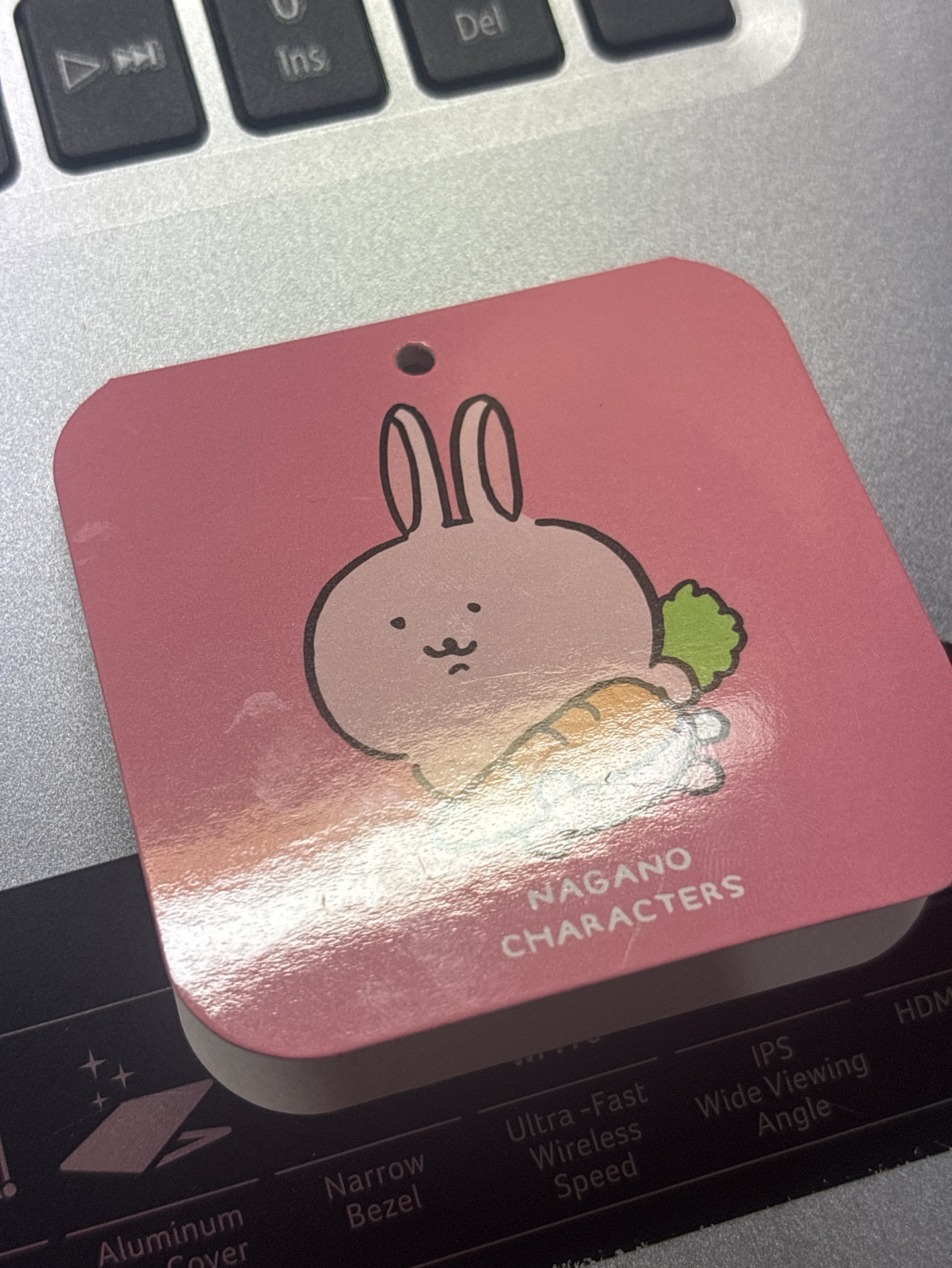 自嘲熊 小兔子娃