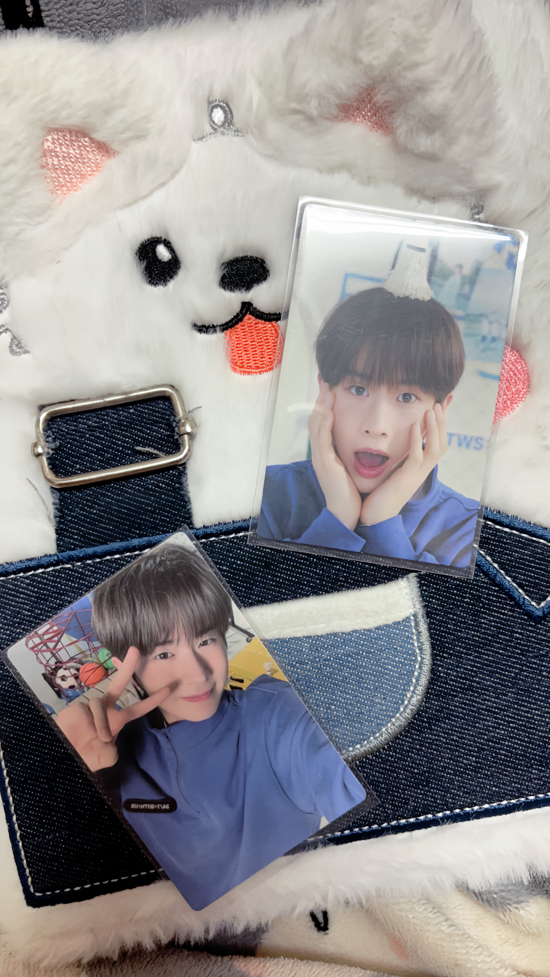 啾咪一期會員禮🐣