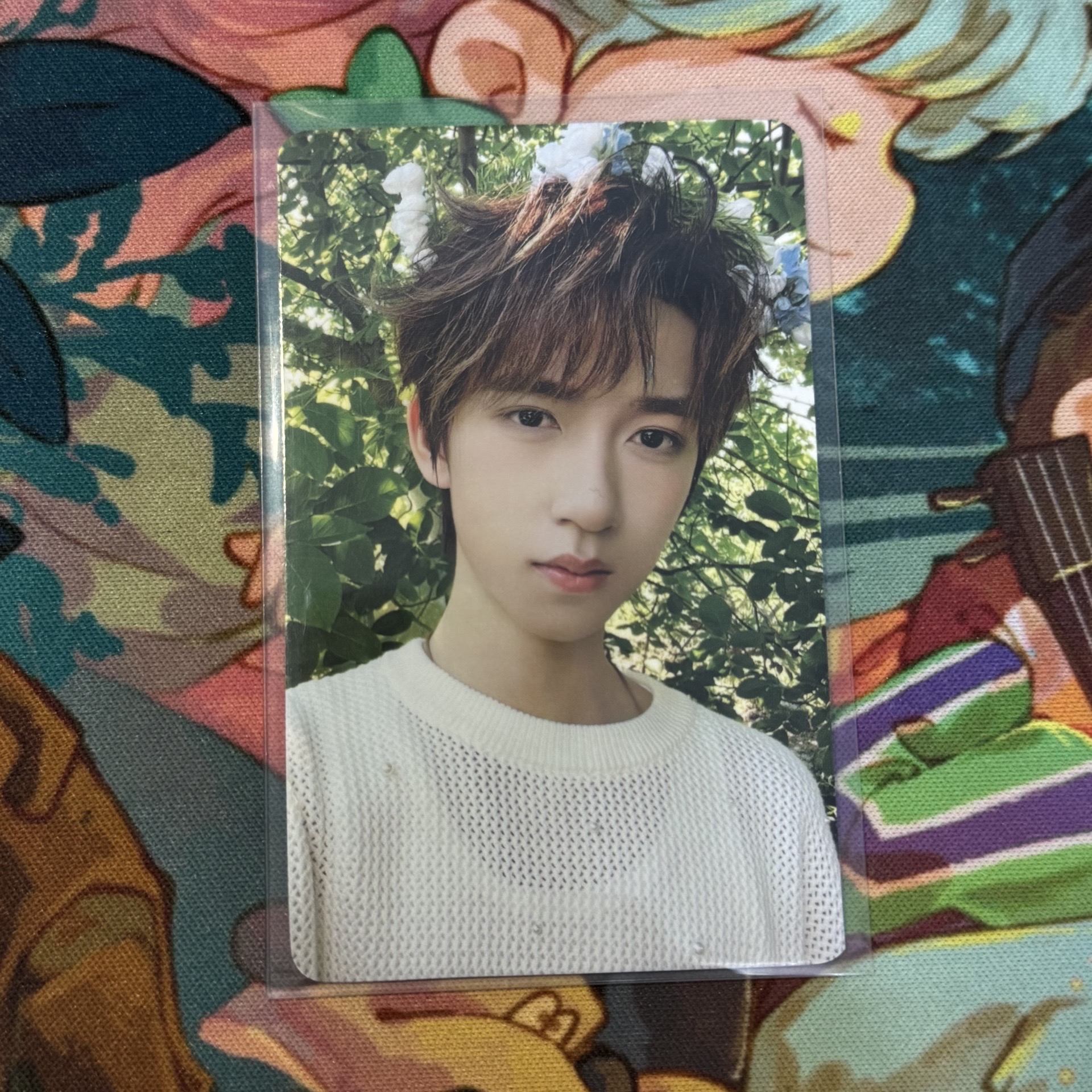 賀峻霖春日記憶團體款固卡