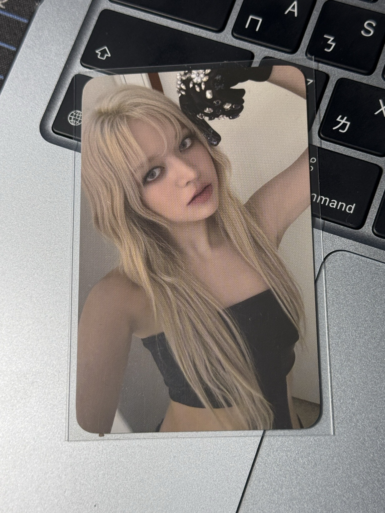 ⭐️正規一 fans預售特典莉