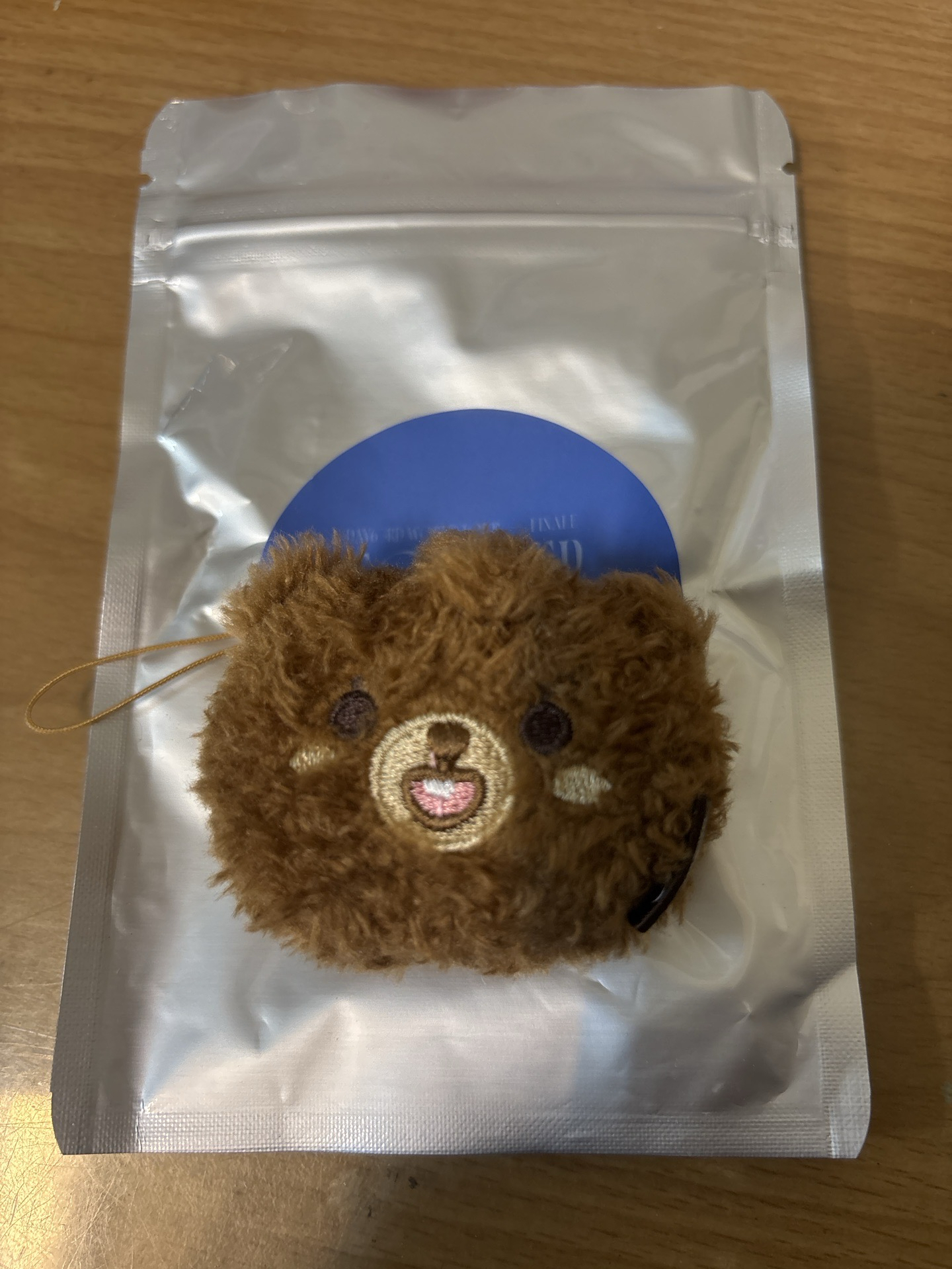 DAY6 世巡 隨機迷你鑰匙圈 小BANG