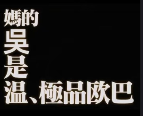 吳是溫的盤子狗