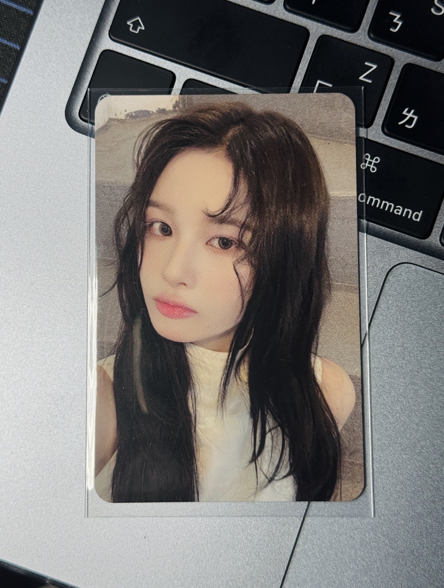 ⭐️普版專卡薛