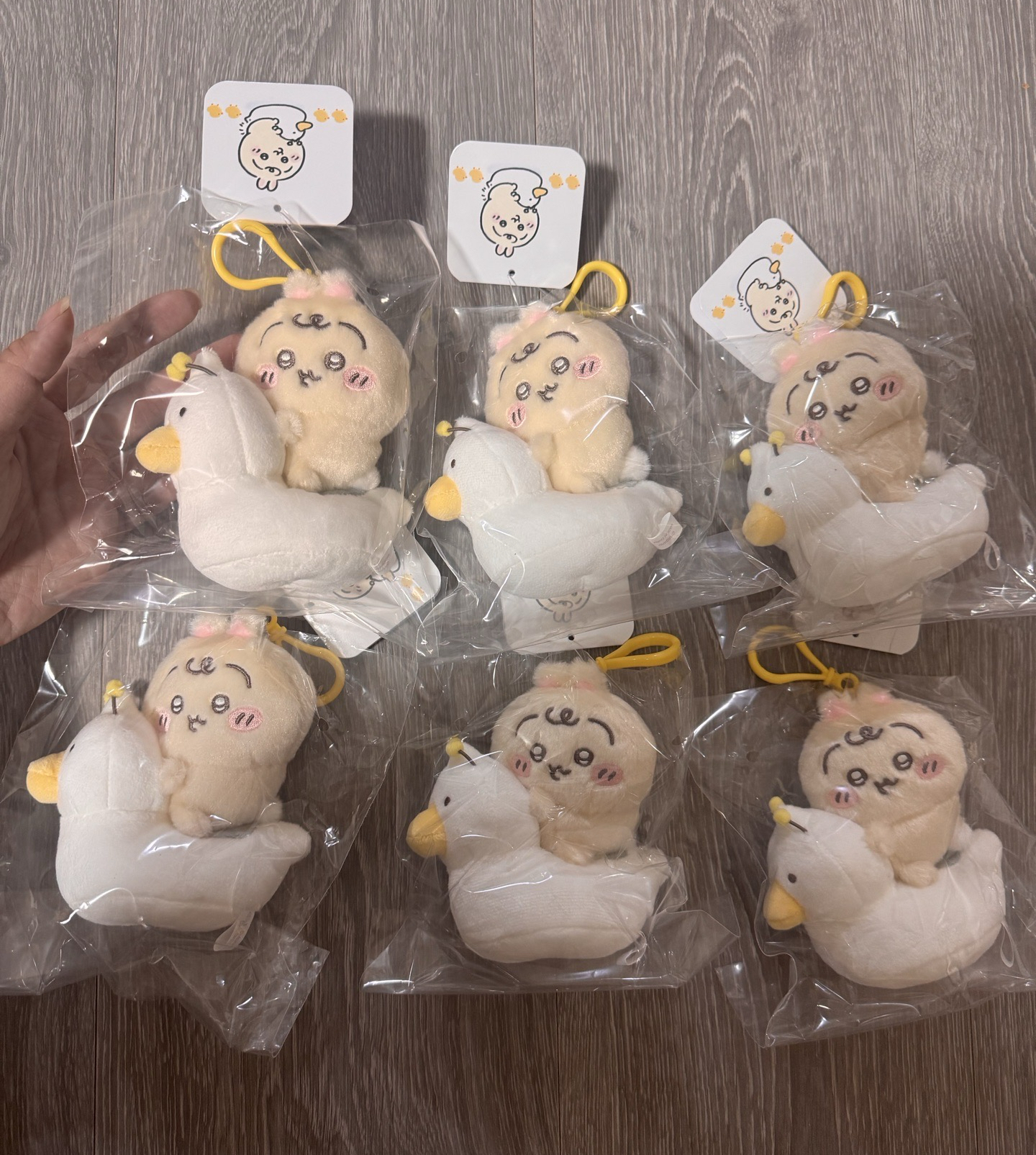 ‼️現貨‼️坐便器寶寶兔兔