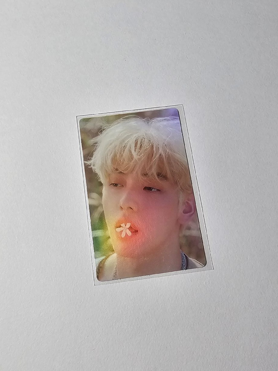 迷五 wvs pb特典 秀彬