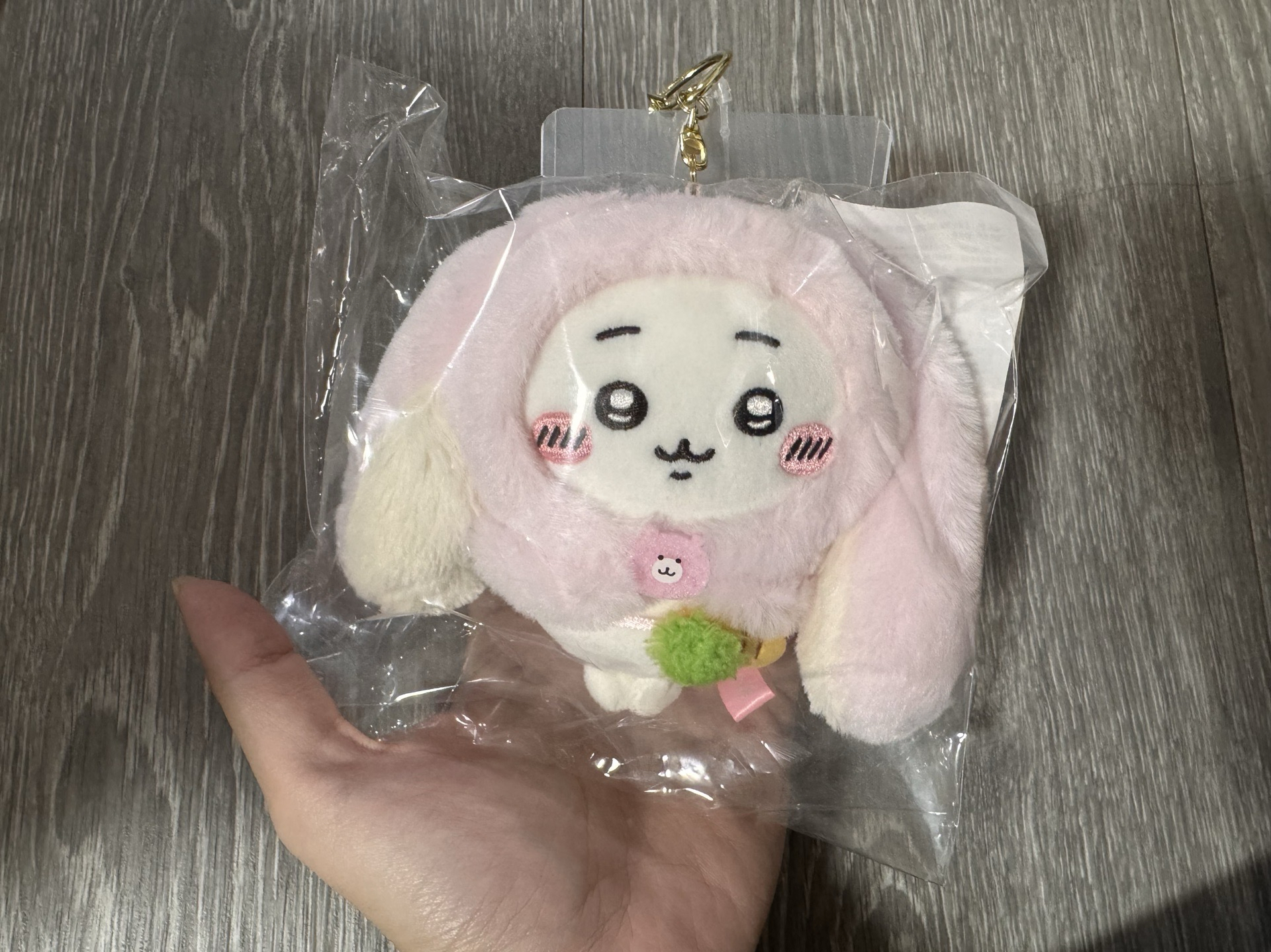 ‼️現貨‼️（台灣限定）垂耳吉伊